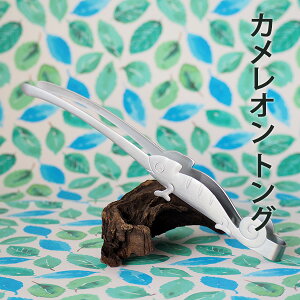 x[ƐŃLb`HI JIgO (411610)  Jg[ I[XeX  ঒ HΉy{z