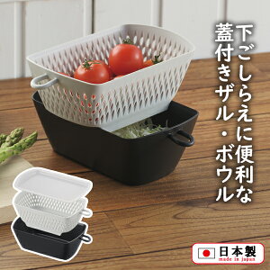 t^t`gU{E JN(MZ-3537)20×11cm 740ml lp p^ Wt ۑ Lb` ֗ dqWOK H@Ή ؂ X^bLO obg 炦 Jt  y ֗Ob