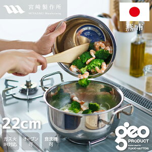 �y���K�i ���K�㗝�X�z�W�I �v���_�N�g �����22cm (GEO-22T) 3.5L ������ꂵ�₷�� �I�[���X�e�����X �K�тɂ��� �I�[�u���Ή� �S��7�w�\�� ���[�J�[15�N�ۏ� �K�X�΁EIH�Ή� �M�t�g�y���{���z 