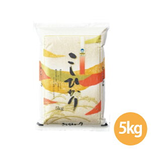 VYʍ͔|ăRVqJ5kg (NTK-100) ẑ  V ͂ R Ă̑蕨   c ʍ͔| 5kg