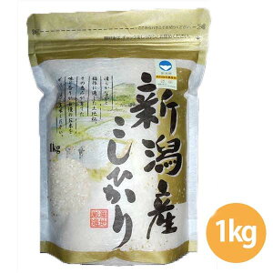 VYʍ͔|ăRVqJ1kg (NTK-31) ẑ  V ͂ R Ă̑蕨   c ʍ͔| 1kg