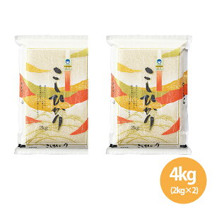 VYʍ͔|ăRVqJ4kg (NTK-81) ẑ  V ͂ R Ă̑蕨   c ʍ͔| 4kg