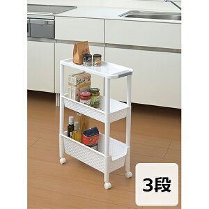 yiszSbN3i 21cm (TL-10) Lb` q h[  ʏ  [ ړ LX^[t R oXPbg  y ItBX