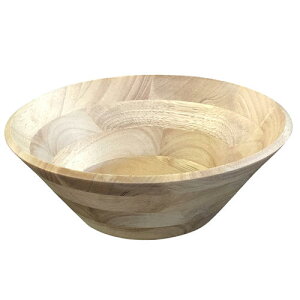 T_{E i` 22.8cm (30076)Ebh VR  ؂̊ M 