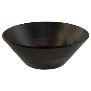 T_{E uE 22.8cm (30079)Ebh VR  ؂̊ M 