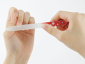 y11`12{ׁz`FRKX܃X(bh/u[/ubN)(2020M-R_B_BK)e₷ Ȃ߂炩 Ɏq Of[V  P[Xt XtXL[ lCPA y[֑