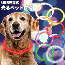 光る首輪 USB充電式 LEDライト 小型犬 中型犬 大型犬 長さ調節可能 散歩 夜 ペット 安全 事故防止 首輪 ランニング 自転車 リード 点灯 猫 腕輪 レインボー 迷子防止【送料無料】###首輪YGXQ-###