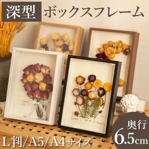 tHgt[  {bNXt[ ؘg ʐ^ A4 A3 TCY J[ ؖڒ ʐ^ CeA tBMA  ###zZK5CM-###