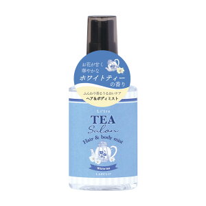 yԌ10%OFFzg^eB[T@wA{fB~XgsMtg/RX/tOX/̓/o^Cf[/zCgf[//l/킢/ty{Nbvz