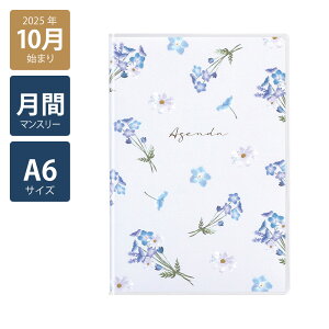 y2026N蒠/2025N10n܂zXPW[ _CA[  jn܂A6}X[Type3 ifB[k(CG[/u[/sN)s/l/킢//ԕ/~U/ltB/`