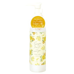 y܂ƂߔΏہzg^{fB~Nsԕ//l/킢//̓ty{Nbvz