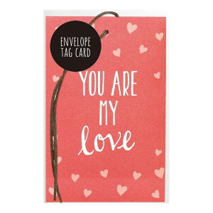 a lot of love for you/you are my love yS2Fz Gxbv^OJ[h sbZ[WJ[h//v[g//l/킢/ty{Nbvz