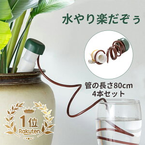  ^ 4Zbg 蓖    z[X  A A | K[fjO p  s @ UVXe