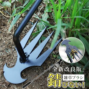 y10OFFN[|z 蓹 GuV  nh c[ G  ԃuV XRbv  y RpNg 蓮 K[fjO ԏ ubN