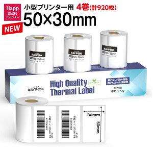 RAYFOOK \MxV[ 50×30mm y230×4=920zMV[ zx Mxv^[p T[}xp ^xv^[p FBAx phomemo p M[