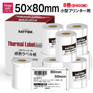RAYFOOK p MxV[ 50×80mm y100×8=800z MV[ zx Mxv^[p T[}xp ^xv^[p FBAx M[ V[ phome