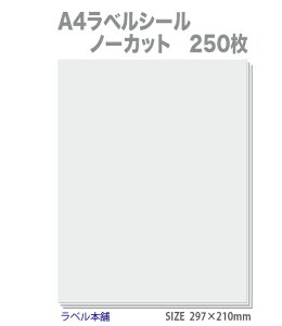 A4 xV[ m[Jbg np 250 Xbg NbN|XgΉ 