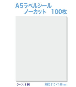 xV[A5 m[Jbg np 100 w prȂǂ