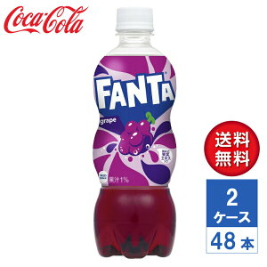 y[J[zt@^ O[v 500ml PET 2P[X(48{)yz