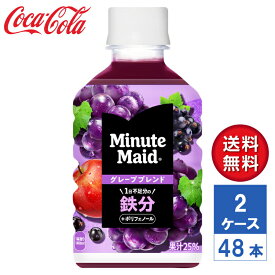 【メーカー直送】ミニッツメイド グレープブレンド 鉄分 280ml PET 2ケース(48本入)【送料無料】