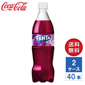 y[J[zt@^ O[v 700ml PET 2P[X(40{)yz