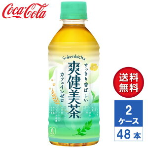 y[J[zu 300ml PET 2P[X(48{)yz