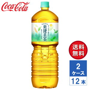 y[J[zu yR炭{g 2L PET 2P[X(12{)yz