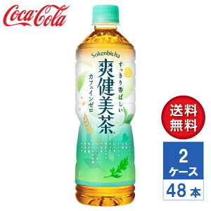 y[J[zu 600ml PET 2P[X(48{)yz
