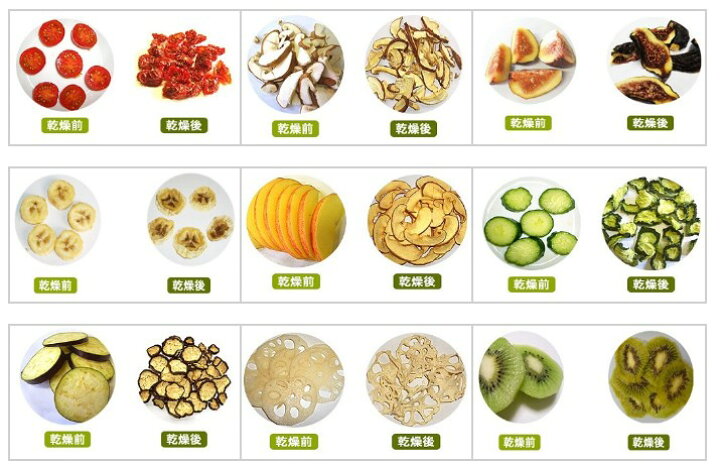 楽天市場 プチミニ2 食品乾燥機 ドライフルーツ 干し野菜作りに 家庭用 業務用で使用可能 ラボネクト株式会社