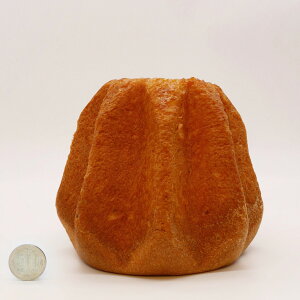 C^A@i^[̒ԁ@ph[ 500gyPandoroz