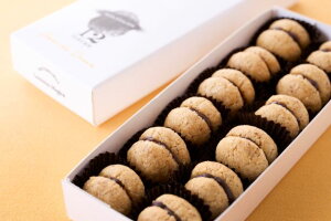 C^Aَq@o[` fB _[}@12yBaci di Damaz