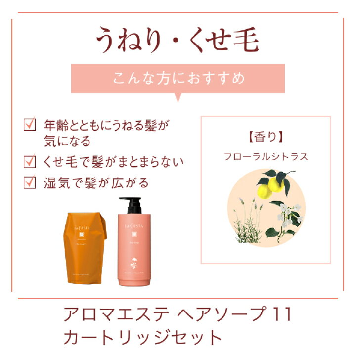 最安値で ラカスタ アロマエステ ヘアソープ シャンプー 11 600ml リフィル 専用カートリッジ容器セット ラ カスタ 最安値で ラカスタ アロマエステ ヘアソープ シャンプー 11 600ml リフィル 専用カートリッジ容器セット ラ カスタ