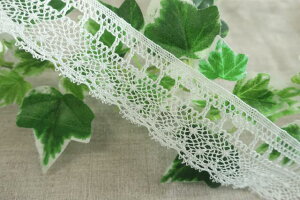 AeB[N[X 背[X 33mm 1mP ItzCg ȑf {g[V[X DS.1888