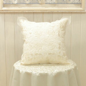 [YhJ NbVJo[ 45x45cm DI[KW[nɎ{ohJƃJbg[N NbVJo[/NbV/I[KW[/hJ/KN yPȉꍇ䂤pP