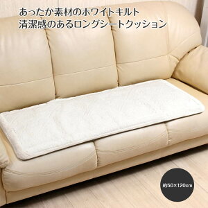 }CNt@Co[Lg OV[gNbV 50×120cm