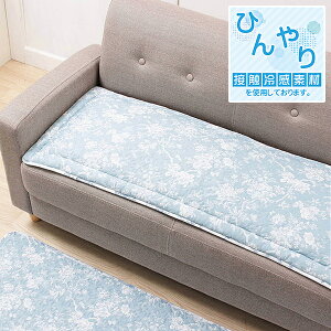 ڐG⊴f OV[gNbV 48×120cm vgLg Ђ u₩ \t@ Ԃ̍ Q-maxl0.3ȏ