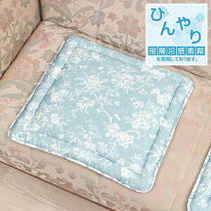 ڐG⊴f V[gNbV 48×48cm vgLg Ђ u₩ \t@ _CjO`FA ֎q Ԃ̍ Q-maxl0.3ȏ