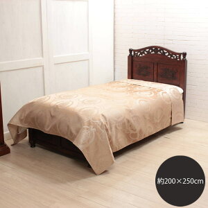 �W���J�[�h�D �}���`�J�o�[ ��200×250cm [Bon Voyage] �}�b�g ���O�}�b�g �J�[�y�b�g �O�~ ������ ���r���O �x�b�g �O�l�|�� �\�t�@�[�J�o�[ �ԕ�