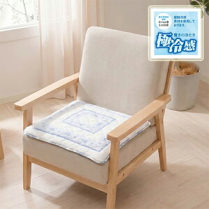 �ڐG�⊴�L���g �V�[�g�N�b�V���� ��50×50cm [Toile Frais] �Ђ��� �u�₩ �N�b�V���� �`�F�A�p�b�h �ԗp �~�� �\�t�@�[ �J�[�V�[�g Q-max�l0.456���i�������x����T��20���j