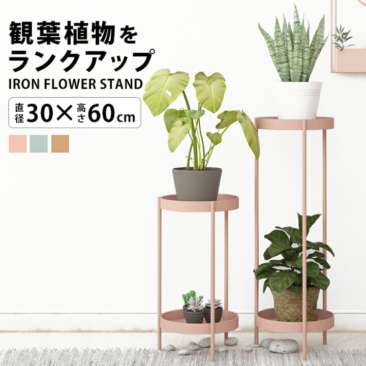 楽天市場 ゴールド アイアン フラワースタンド プランタースタンド 花台 室内 おしゃれ インテリア 観葉植物 置き 台 棚 玄関 プランター フラワー ラック 消毒液 スタンド アルコール消毒液 丸 鉢置き 観葉 植物 植木鉢 鉢 花 屋内 北欧 雑貨 2段 Fnt57 P