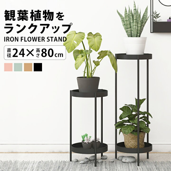楽天市場 フラワースタンド プランタースタンド アイアン ゴールド 花台 玄関 消毒 スタンド ラック 80cm ブラック 飾り棚 室内 おしゃれ 観葉植物 インテリア 雑貨 花 お花 鉢 花瓶 プランター 置く 台 フラワー 飾る 棚 小さい ミニ スリム ラウンド Fnt58 P
