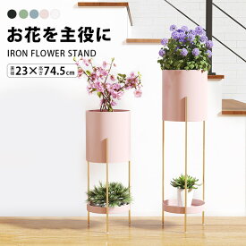 楽天市場 ゴールド フラワースタンド 園芸ラック ガーデニング 農業 花 ガーデン Diyの通販 楽天市場 ゴールド フラワースタンド 園芸ラック ガーデニング 農業 花 ガーデン Diyの通販