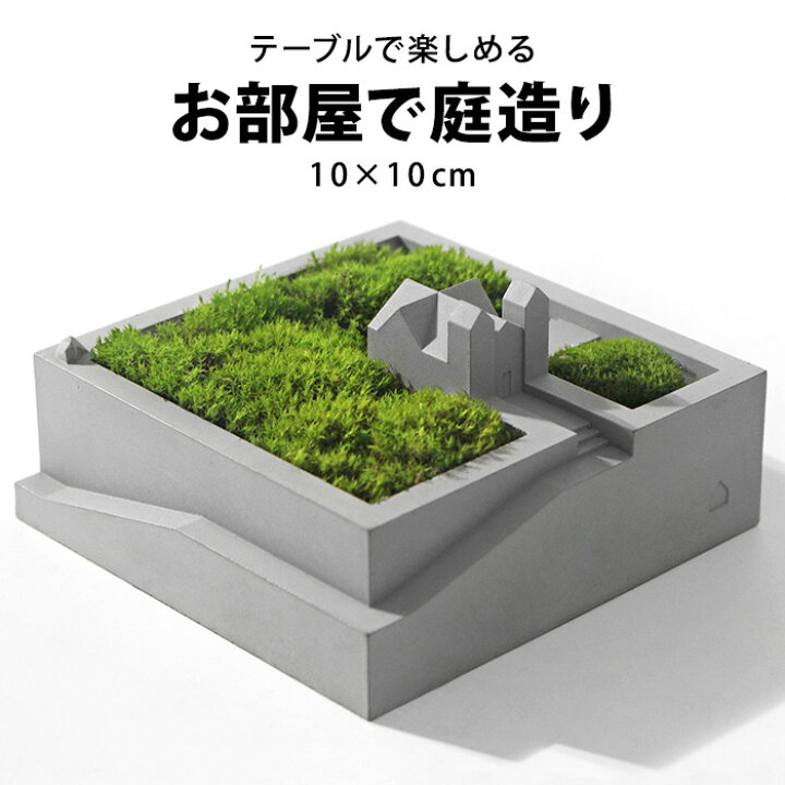 楽天市場 プランター おしゃれ 小さい 多肉 苔 コケリウム 苔リウム 箱庭 鉢 植木鉢 北欧 インテリア 雑貨 サボテン 多肉植物 寄せ植え テラリウム 容器 器 鉢植え コンクリート セメント ポット 卓上 教会 ミニ 小型 一人暮らし ガーデニング グッズ インテリア雑貨
