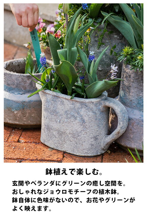 楽天市場 植木鉢 おしゃれ 陶器鉢 ジョーロ 如雨露 プランター 屋外 北欧 インテリア ガーデンポット 鉢入れ 鉢 ポット プランター ガーデニング 園芸 グリーン おしゃれ レトロ 錆びない アンティーク ガーデン雑貨 小物 ハンドル 持ち手付き品 レトロ カフェ風 庭 Grd