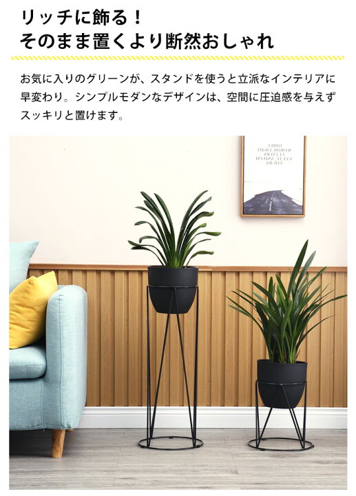 楽天市場 フラワースタンド 屋内 プランター スタンド 室内 プランタースタンド 割れない 高さ77cm 幅28cm 観葉植物 台 北欧 玄関 植木鉢乗せる ラック 花台 観葉 植物 棚 おしゃれ アイアンラック 置き 置き台 インテリア 雑貨 グリーン 植木鉢 Grd 029 P