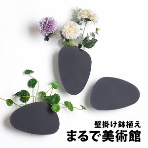 ハンギング 観葉植物 鉢の通販 価格比較 価格 Com