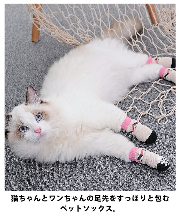 楽天市場 犬 靴下 猫 脚 ケガ 保護 散歩 用 室内 靴下 ペット ペット用 ソックス おしゃれ 老犬 滑り止め くつした 階段 犬の靴下 犬用 猫用 すべらない 肉球 フローリング 転倒 けが 怪我 防止 足裏 シニア犬 防寒 シニア猫