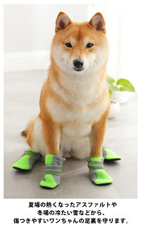 楽天市場 犬 靴 ペット ペット用 ペット用靴 犬用靴 中型犬用 犬用シューズ レイン レインブーツ 散歩 肉球やけど防止 マジックテープ かわいい メッシュ シューズ 犬靴 大型犬 中型犬 雨 長靴 ブーツ 夏 防水 グッズ 小型犬 反射 いぬ 脚 ケガ 保護 肉球