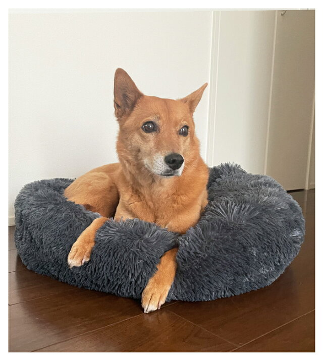 犬 ベッド 大きい ふかふか 猫 春夏 ふわふわ 犬用 かわいい ペットベッド 犬ベッド 丸 クッション ペット 70cm 猫ベッド