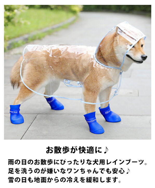 楽天市場】犬用 レインブーツ 4個セット 犬用レインシューズ 愛犬 ペット用 長靴 散歩 かわいい 雨 雪 履かせやすい ドッグシューズ 保護 安全 防水 肉球 カラフル 小型 犬 わんちゃん 滑り止め M マジックテープ 犬長靴 肉球 ケガ 防止 いぬ くつ 大きいサイズ pet224【P ...